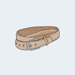 Belt Accessory